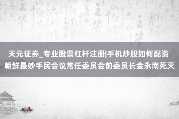 天元证券_专业股票杠杆注册|手机炒股如何配资 朝鲜最妙手民会议常任委员会前委员长金永南死灭
