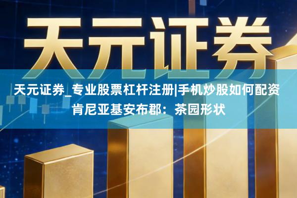 天元证券_专业股票杠杆注册|手机炒股如何配资 肯尼亚基安布郡：茶园形状