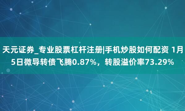 天元证券_专业股票杠杆注册|手机炒股如何配资 1月5日微导转债飞腾0.87%，转股溢价率73.29%