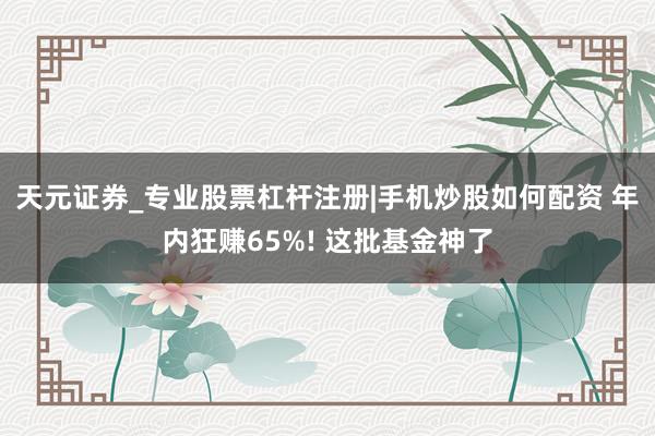 天元证券_专业股票杠杆注册|手机炒股如何配资 年内狂赚65%! 这批基金神了