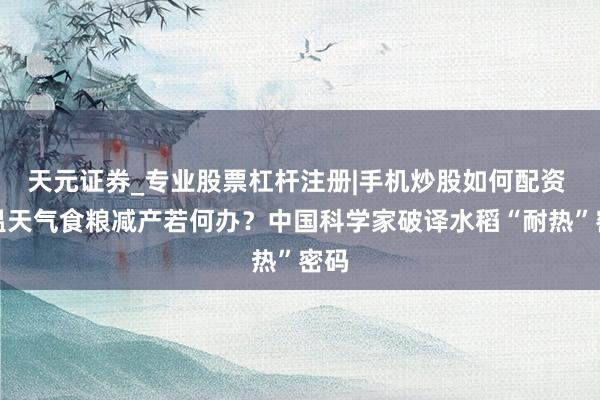天元证券_专业股票杠杆注册|手机炒股如何配资 高温天气食粮减产若何办？中国科学家破译水稻“耐热”密码